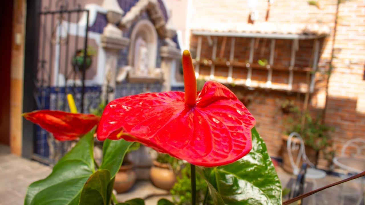Mansion Mijashe Wellness & Travel House Hotell Morelia Eksteriør bilde